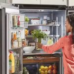 Freshness Redefined: Panasonic Refrigerators USA
