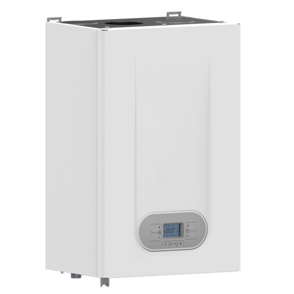 Gas water heaters