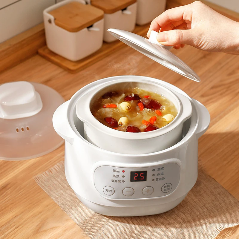 electric slow cooker