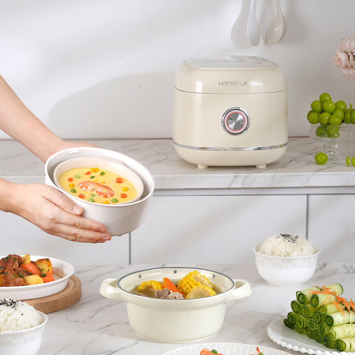 electric cooker portable